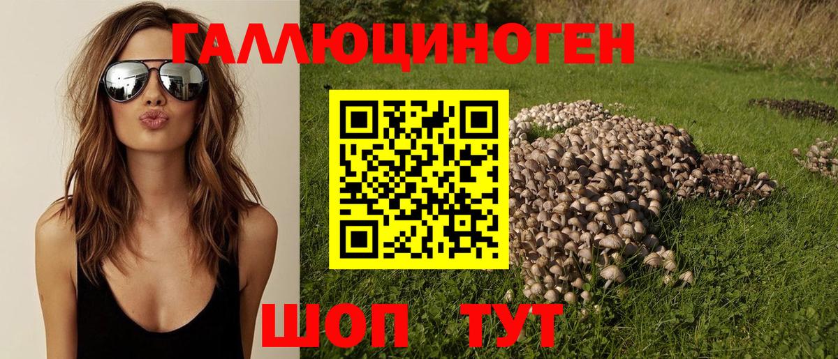 Галлюциногенные грибы мухоморы  Вход с VPN  Галлюциногенные грибы Psilocybine cubensis  Кизляр 