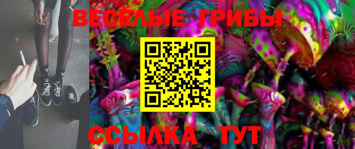 Галлюциногенные грибы Cubensis Кизляр